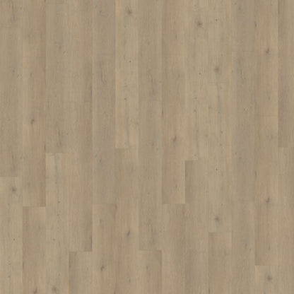 Belakos Attico 860 | Rigid Click