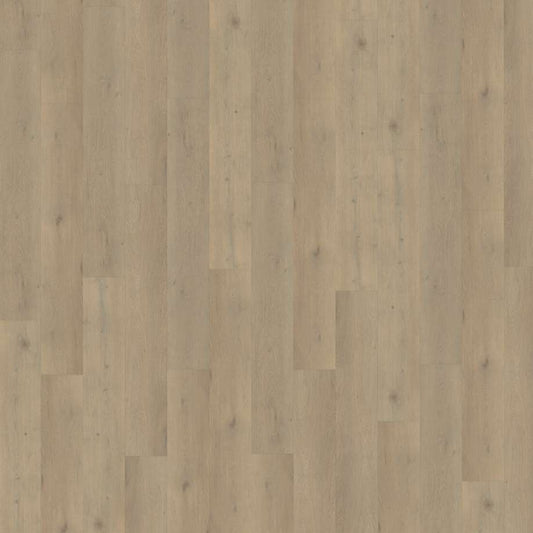 Belakos Attico 860 | Rigid Click