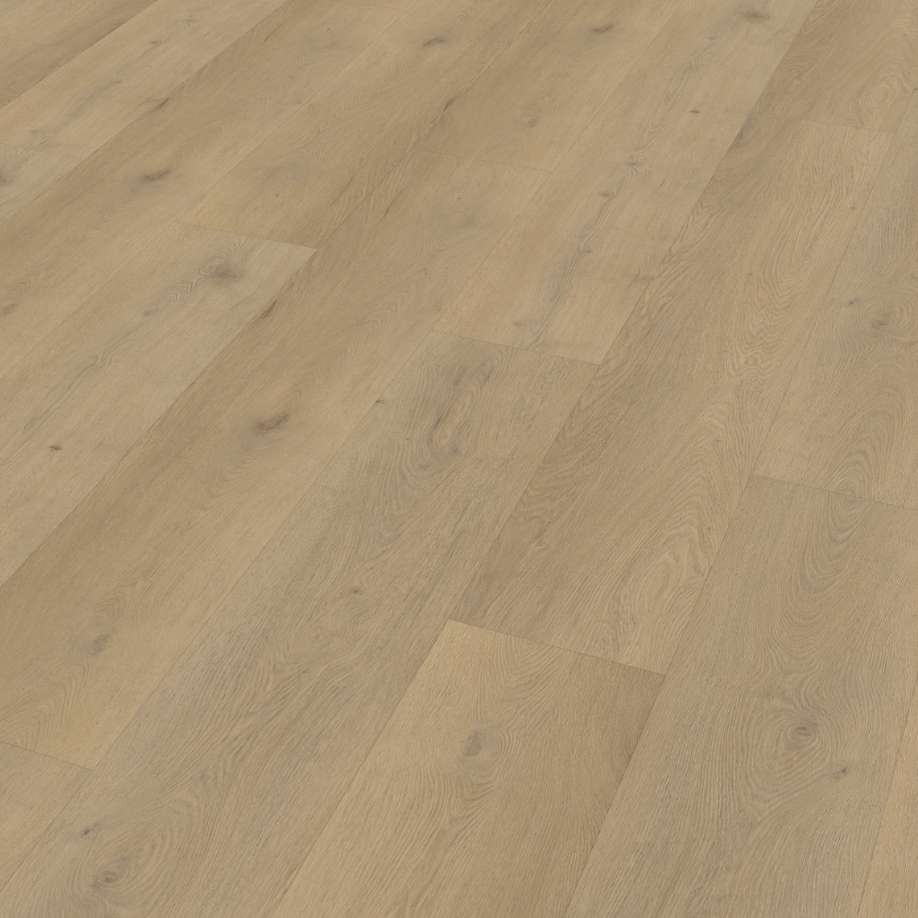 Belakos Attico 870 | Rigid Click