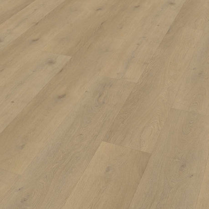 Belakos Attico 870 | Rigid Click