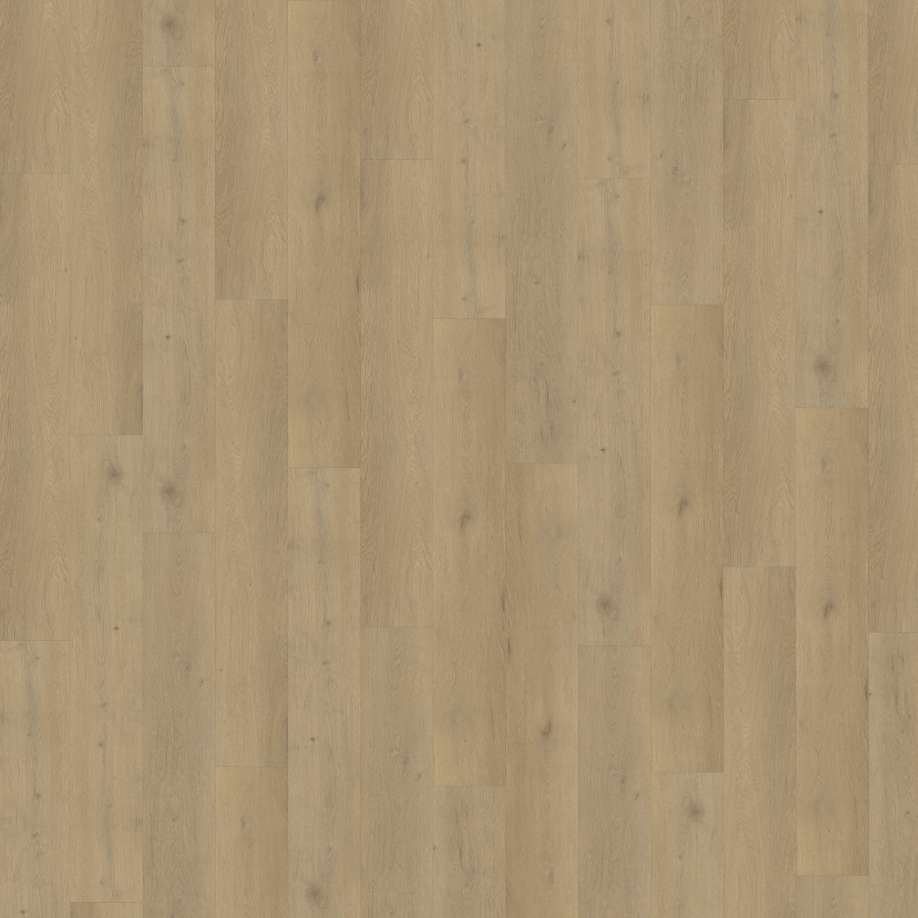 Belakos Attico 870 | Rigid Click