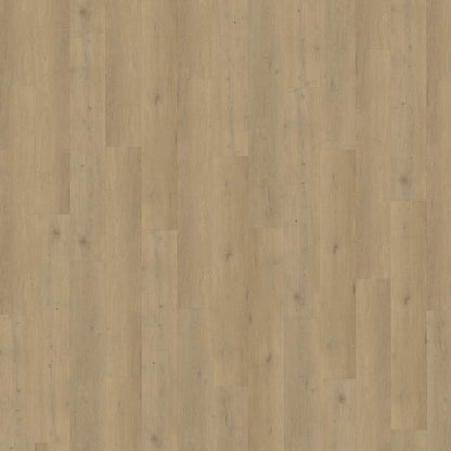 Belakos Attico 870 | Rigid Click