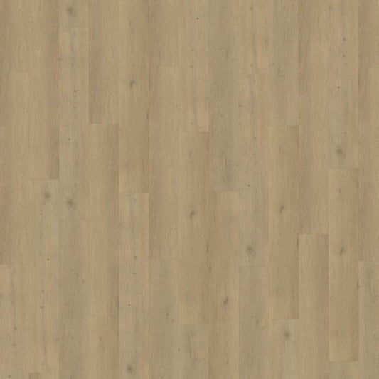 Belakos Attico 870 | Rigid Click