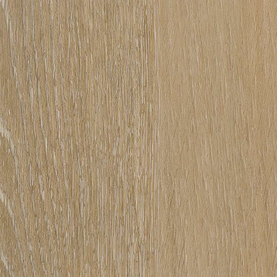 Belakos Attico visgraat XL 80