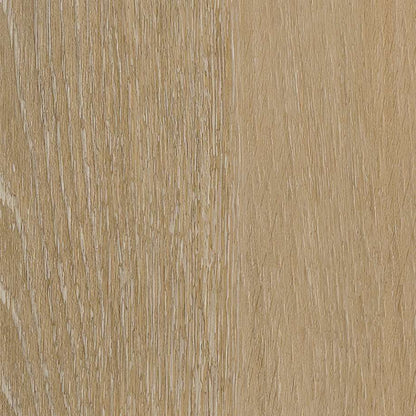 Belakos Attico visgraat XL 80