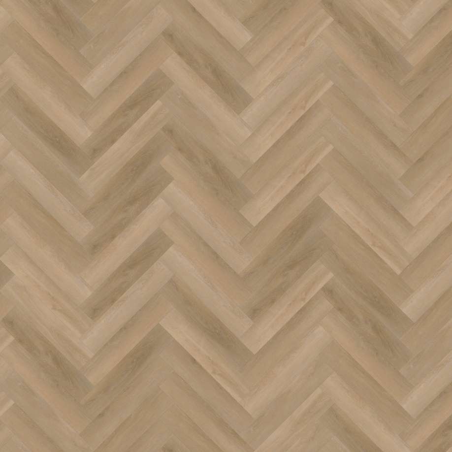 Belakos Attico visgraat XL 81