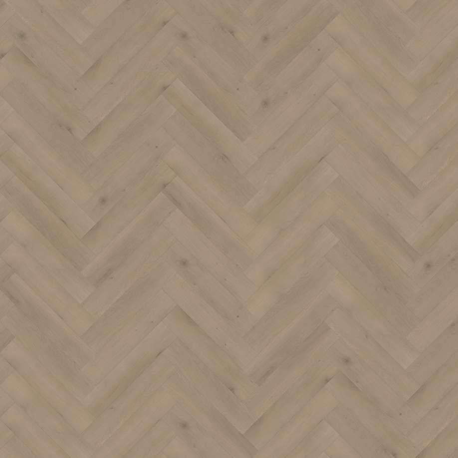 Belakos Attico visgraat XL 82