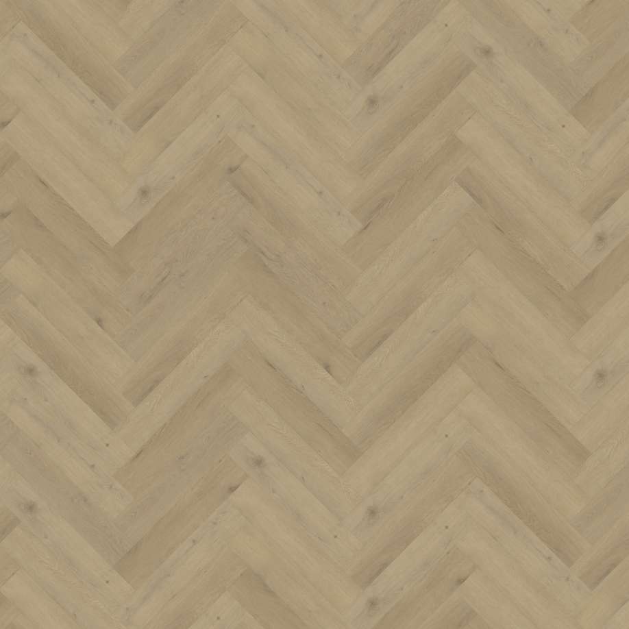 Belakos Attico visgraat XL 87