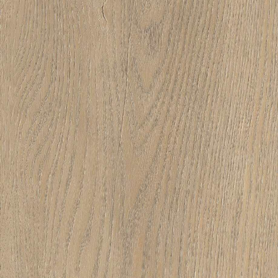 Belakos Palazzo 710 | Rigid Click