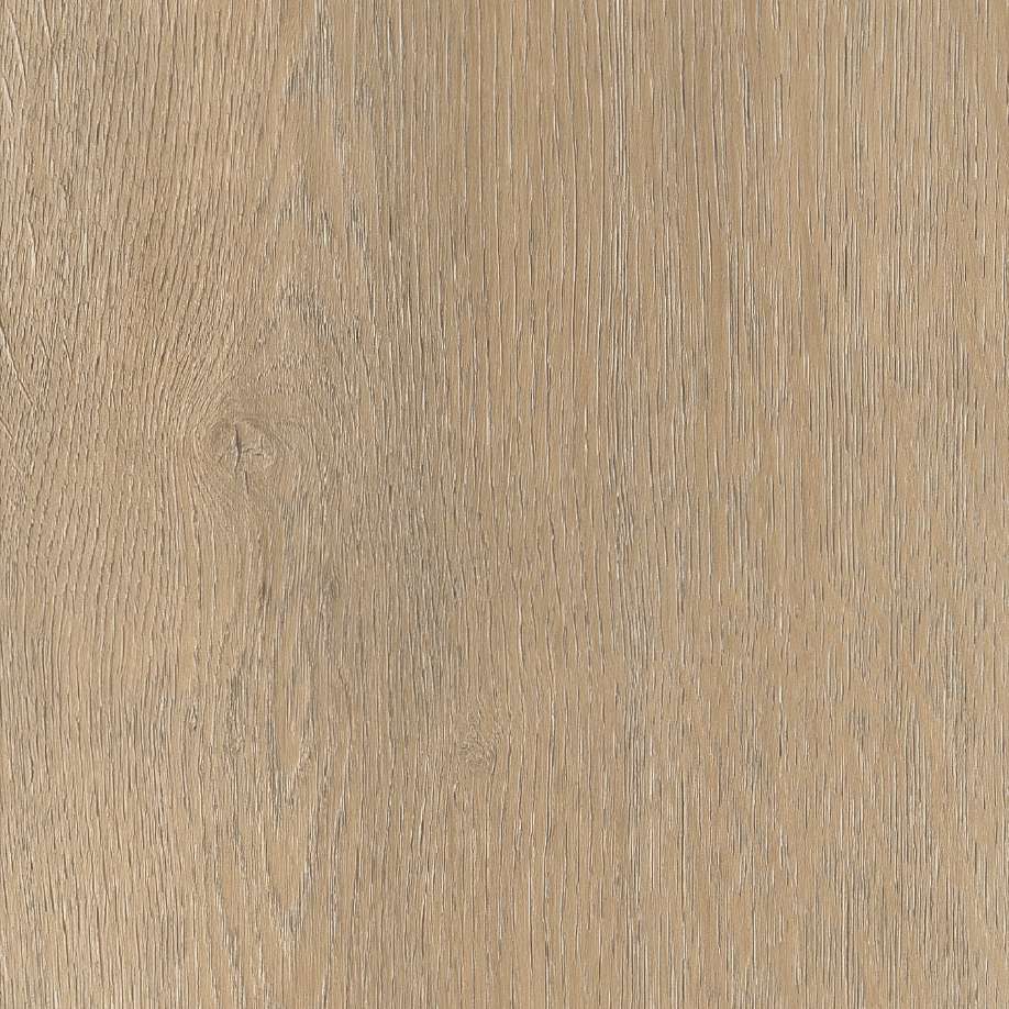 Belakos Palazzo 710 | Rigid Click