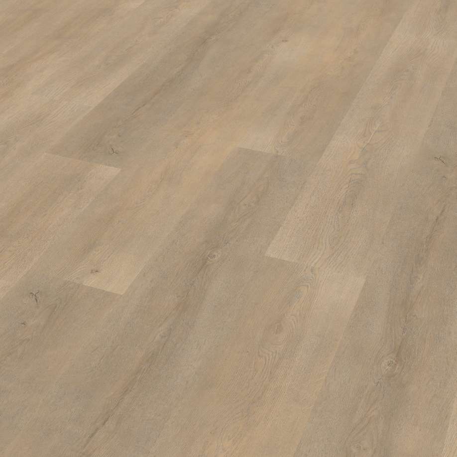 Belakos Palazzo 710 | Rigid Click