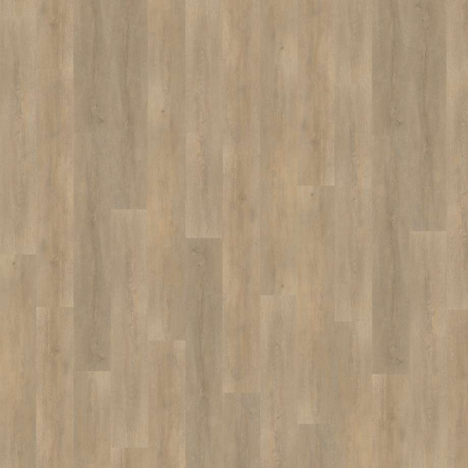 Belakos Palazzo 710 | Rigid Click