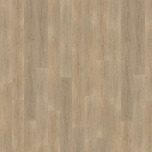 Belakos Palazzo 710 | Rigid Click