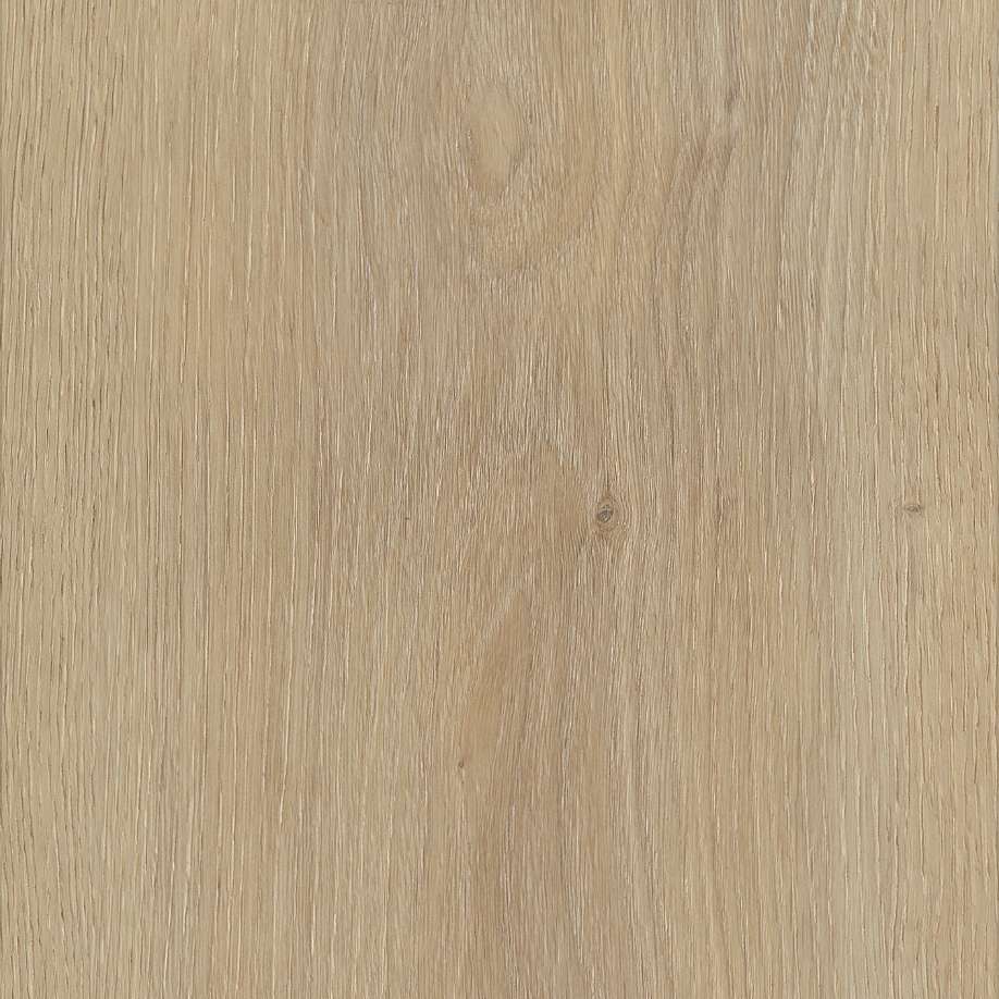Belakos Palazzo 720 | Rigid Click