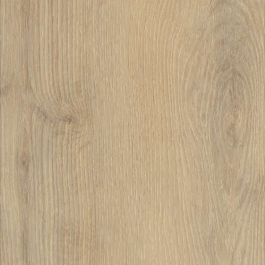 Belakos Palazzo 720 | Rigid Click