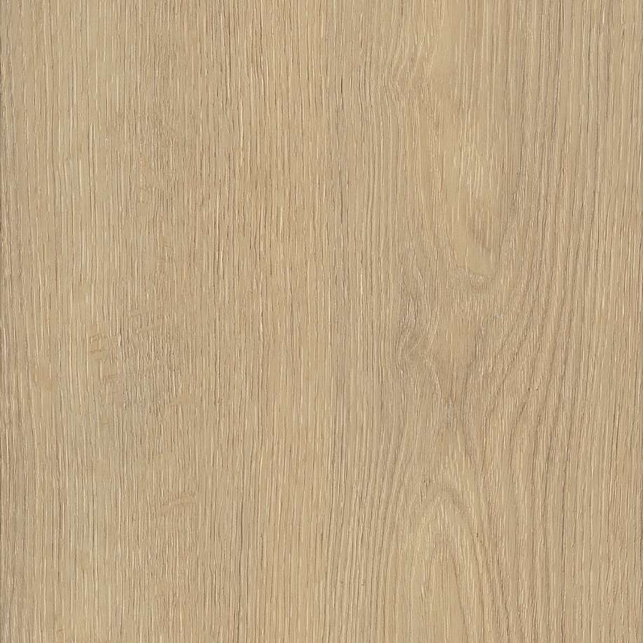 Belakos Palazzo 720 | Rigid Click