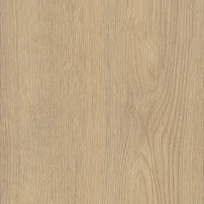 Belakos Palazzo 720 | Rigid Click
