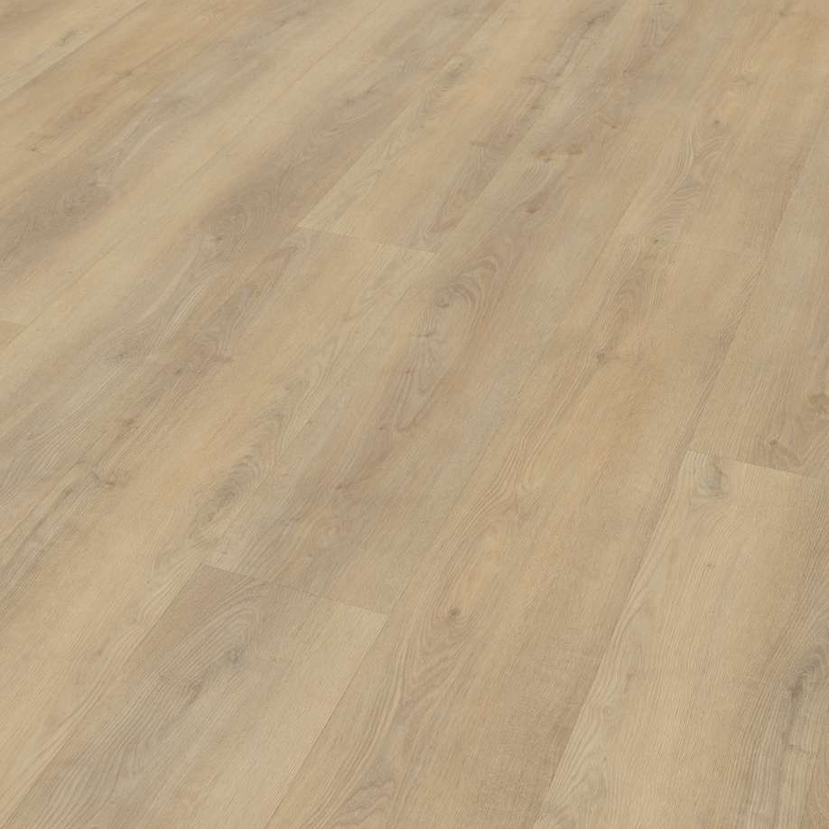 Belakos Palazzo 720 | Rigid Click