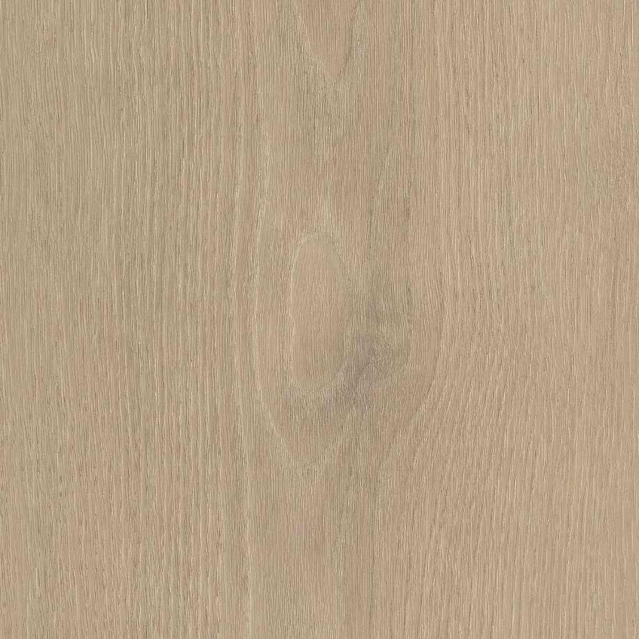 Belakos Palazzo 740 | Rigid Click