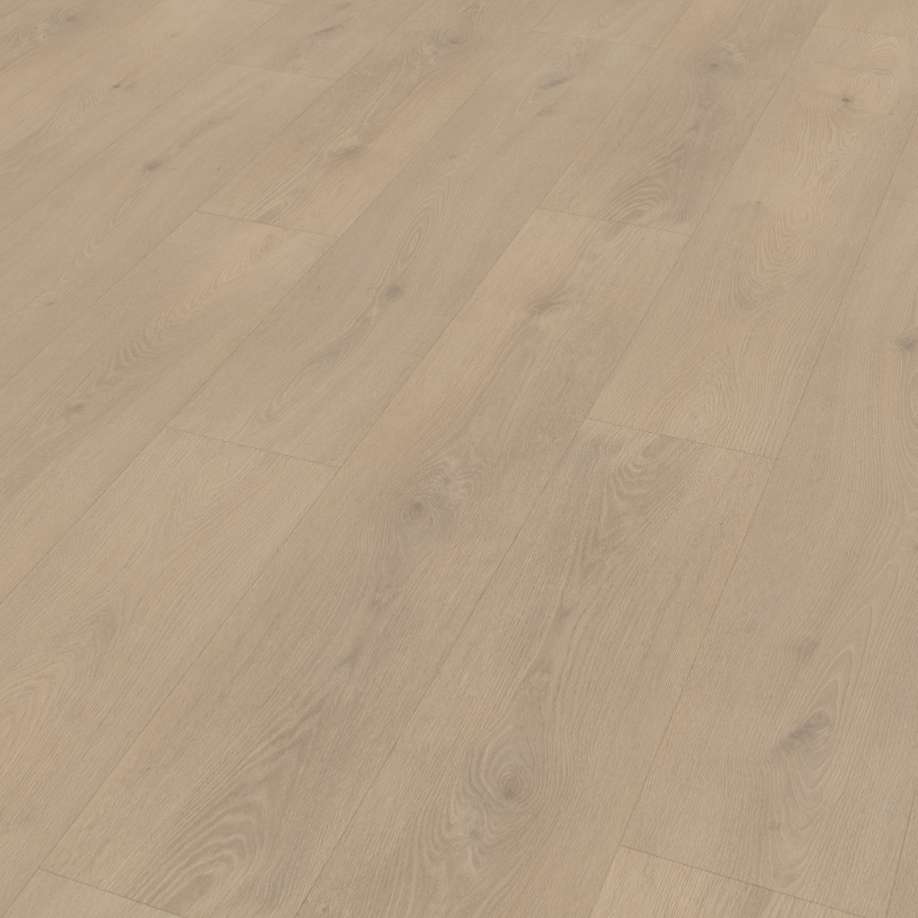 Belakos Palazzo 740 | Rigid Click