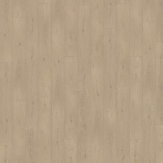 Belakos Palazzo 740 | Rigid Click