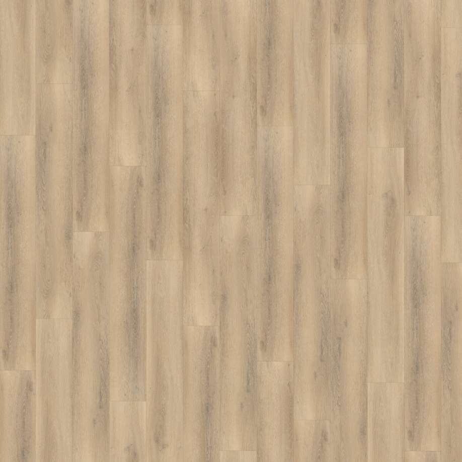 Belakos Palazzo 750 | Rigid Click