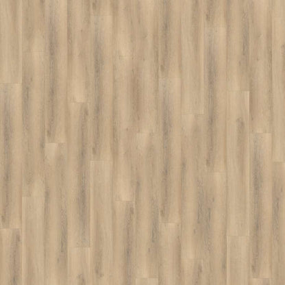 Belakos Palazzo 750 | Rigid Click