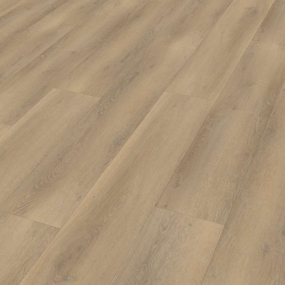 Belakos Palazzo 760 | Rigid Click