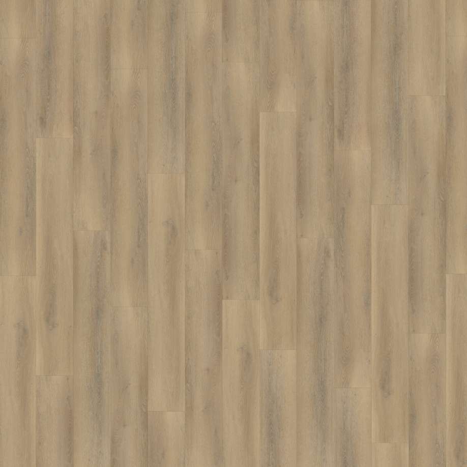 Belakos Palazzo 760 | Rigid Click