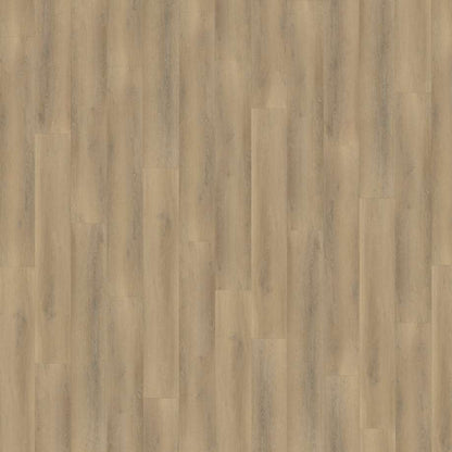 Belakos Palazzo 760 | Rigid Click