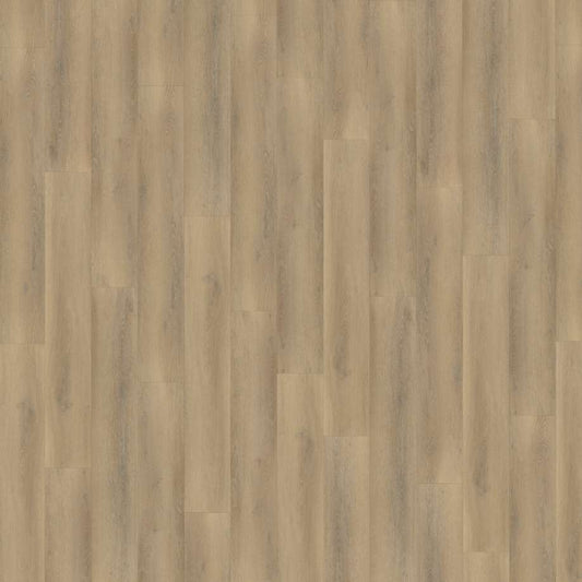 Belakos Palazzo 760 | Rigid Click