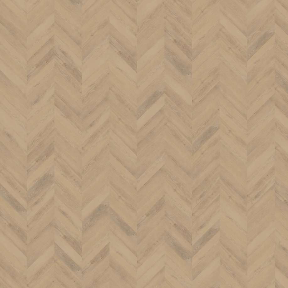 Belakos Palazzo Hongaarse punt 72