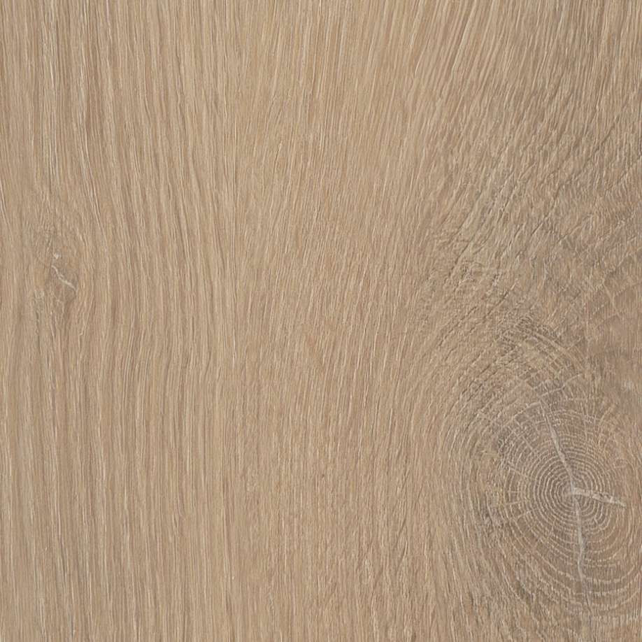 Belakos Palazzo visgraat XL 76 | Rigid Click