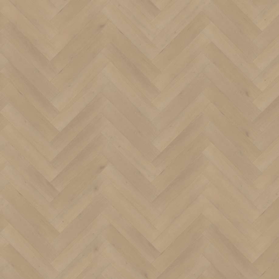 Belakos Palazzo visgraat XL 77 | Rigid Click