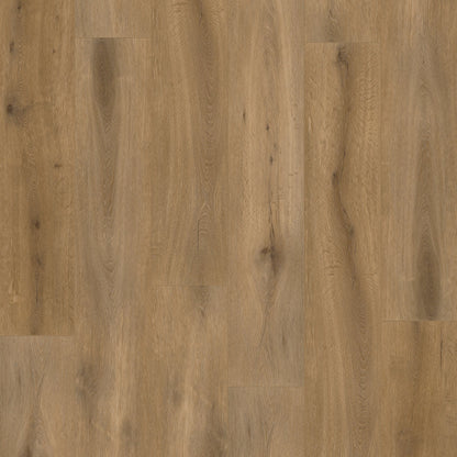 Gelasta Callisto 4103 (dryback) Natural Oak Smoked