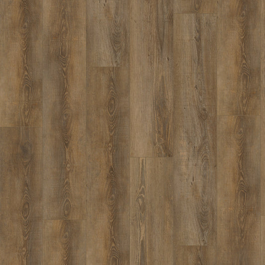 Gelasta City 4604 (dryback) Olympia Pine Natural