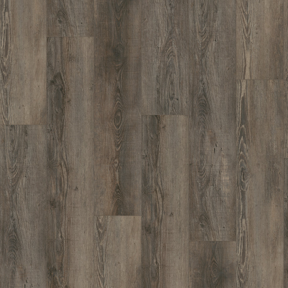 Gelasta City 4605 (dryback) Olympia Pine Brown