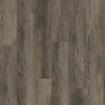 Gelasta City 4605 (dryback) Olympia Pine Brown