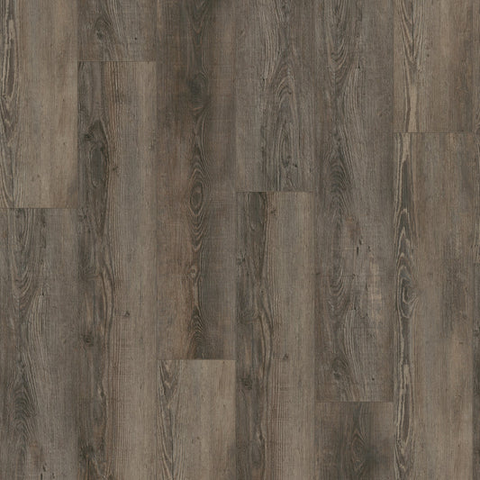 Gelasta City 4605 (dryback) Olympia Pine Brown