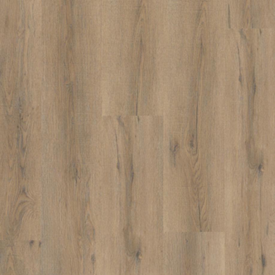 Gelasta City 5600 (rigid click) Smoked Oak Light