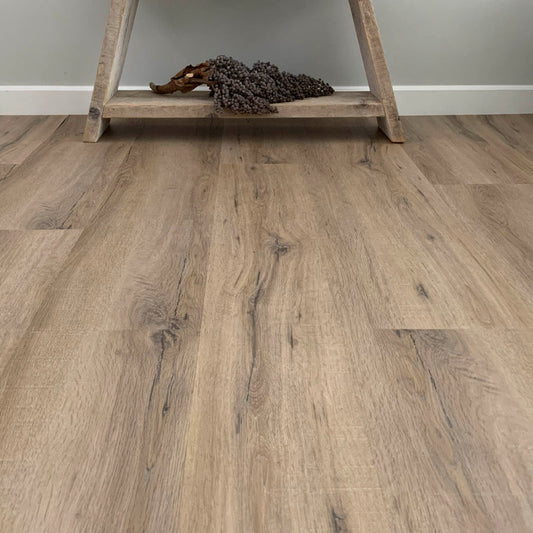 Gelasta City 4600 (dryback) Smoked Oak Light