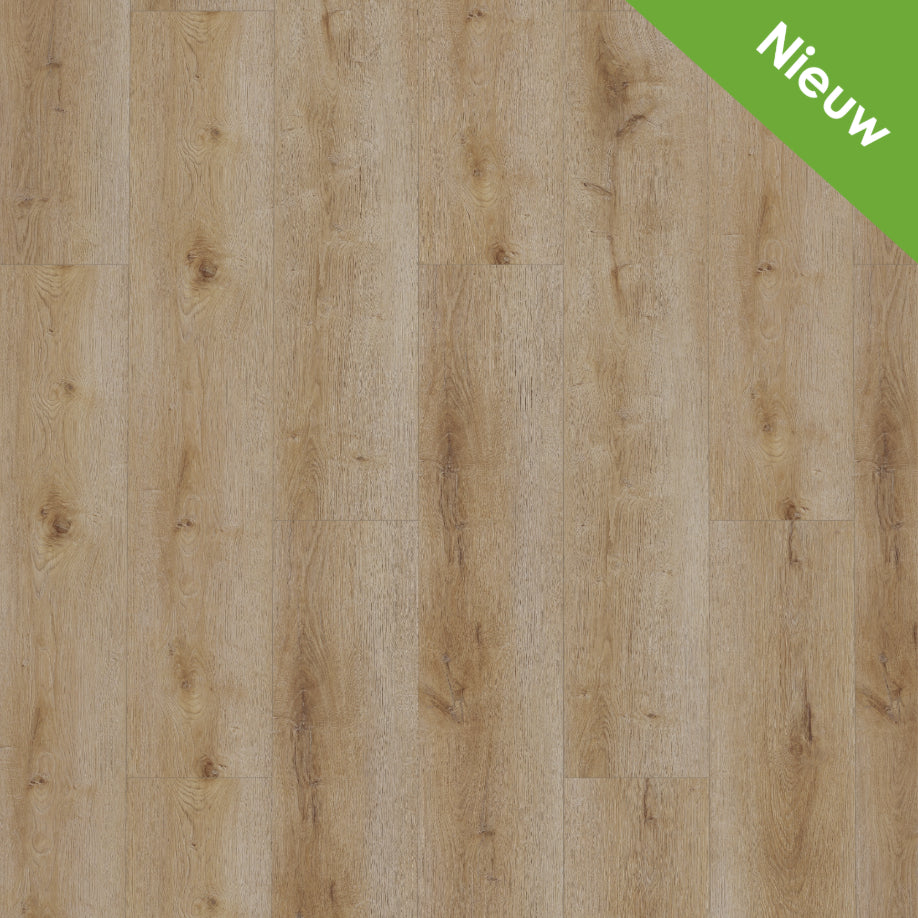 Gelasta Dynamic 3501 (rigid click) Natural smoked