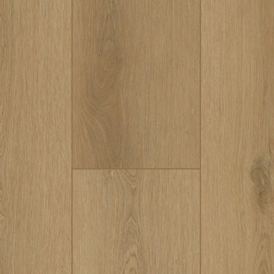 Gelasta Firmfit 6502 (dryback) Sierra Naturel