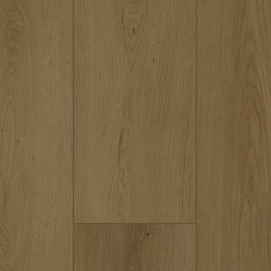 Gelasta Firmfit 6702 (dryback) Summerfield Cinnamon
