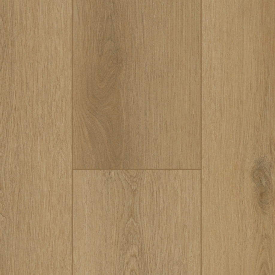 Gelasta Firmfit Silent 7502 (rigid click) Sierra Naturel