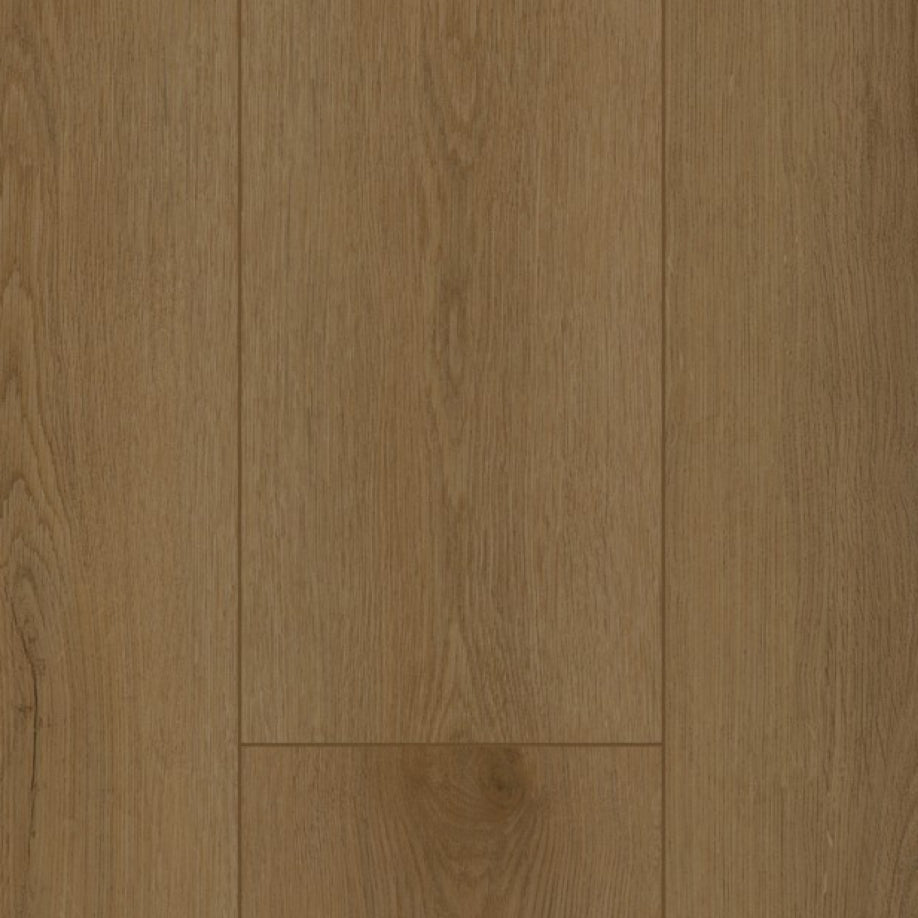 Gelasta Firmfit Silent 7503 (rigid click) Sierra Brown