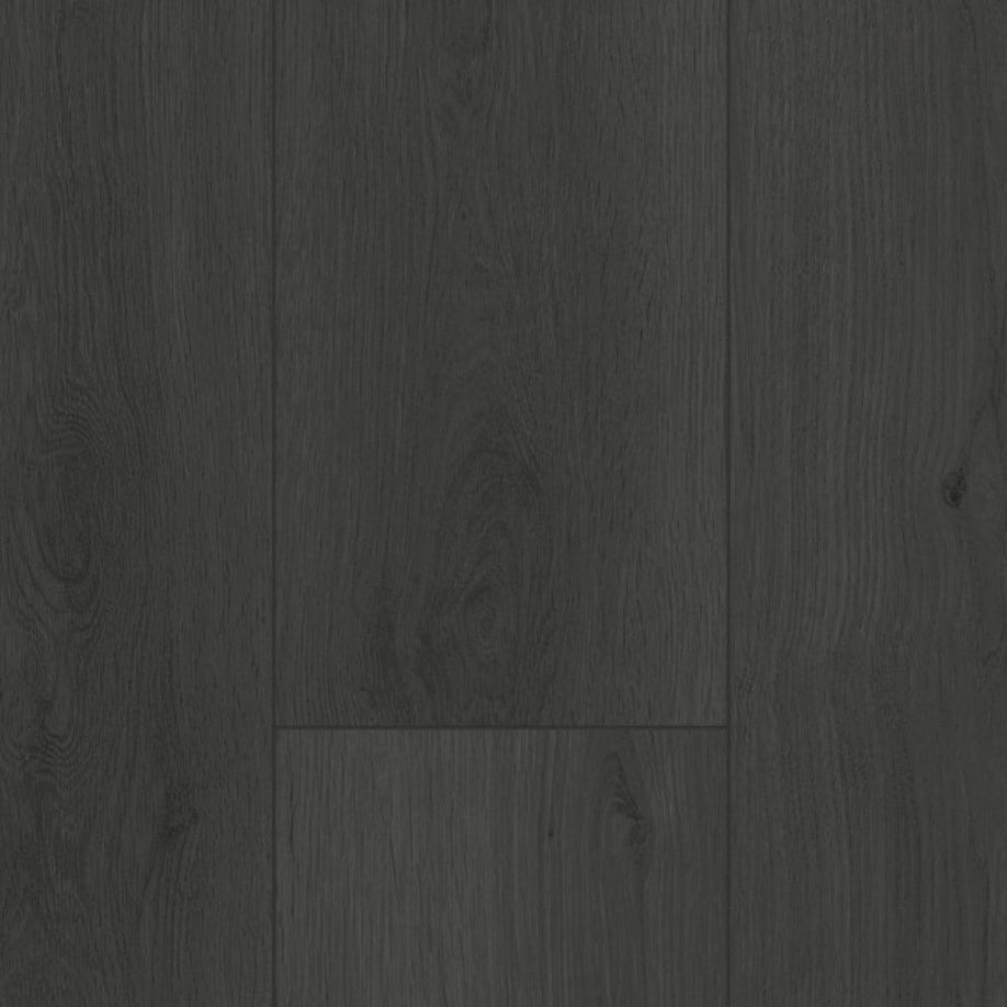 Gelasta Firmfit Silent 7701 (rigid click) Summerfield Charcoal