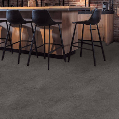 Gelasta Nova 6303 (dryback) Arctic Graphite