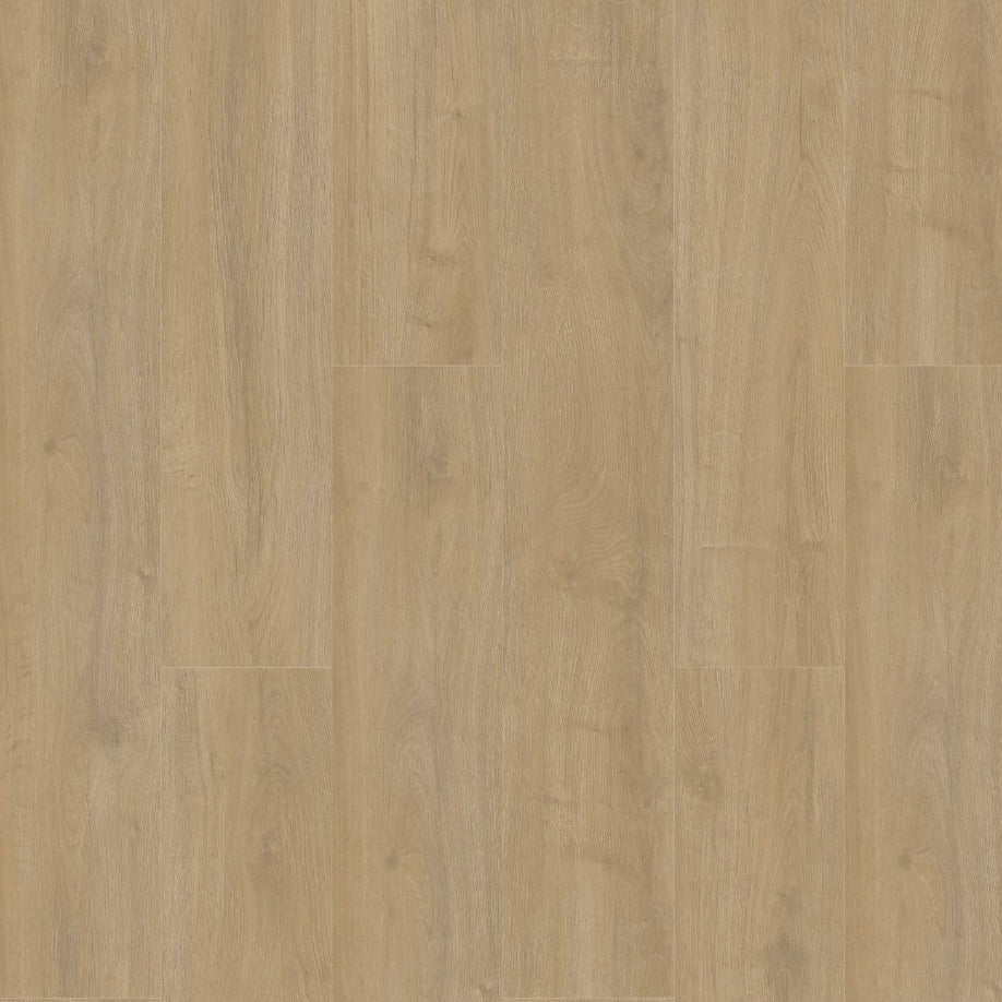 Gelasta Oakland 6100 (dryback) Lime