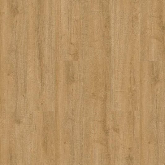 Gelasta Oakland 6101 (dryback) Naturel